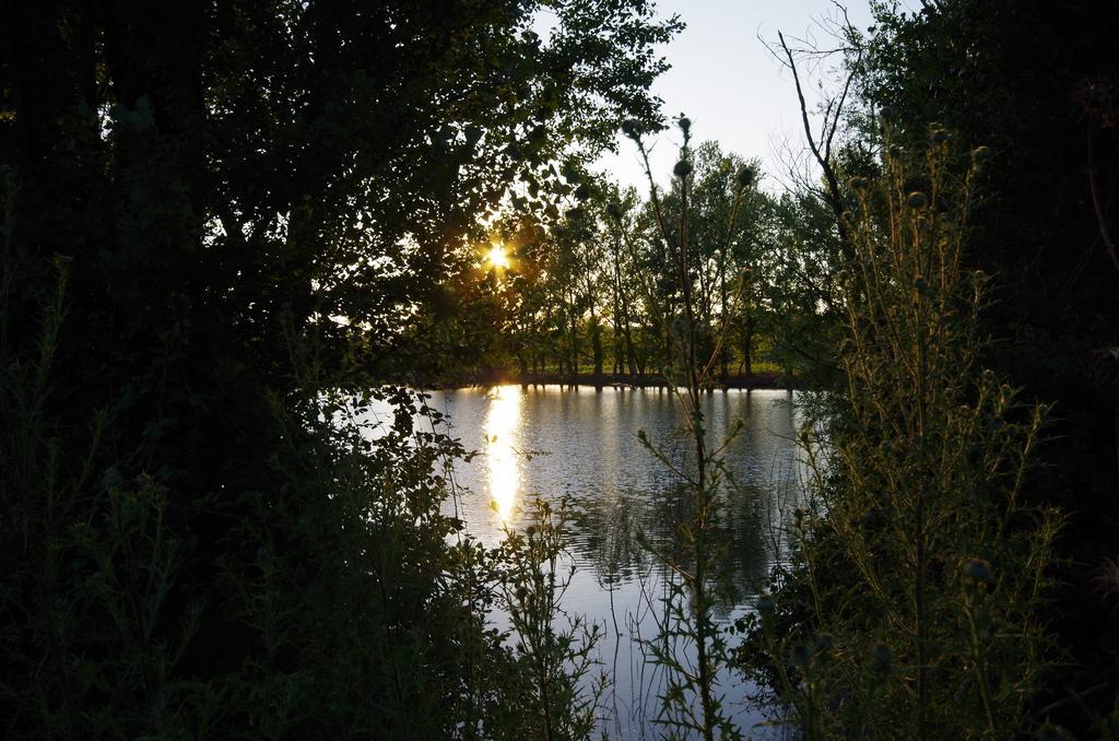 Agriturismo Scorgiano Bagian luar foto