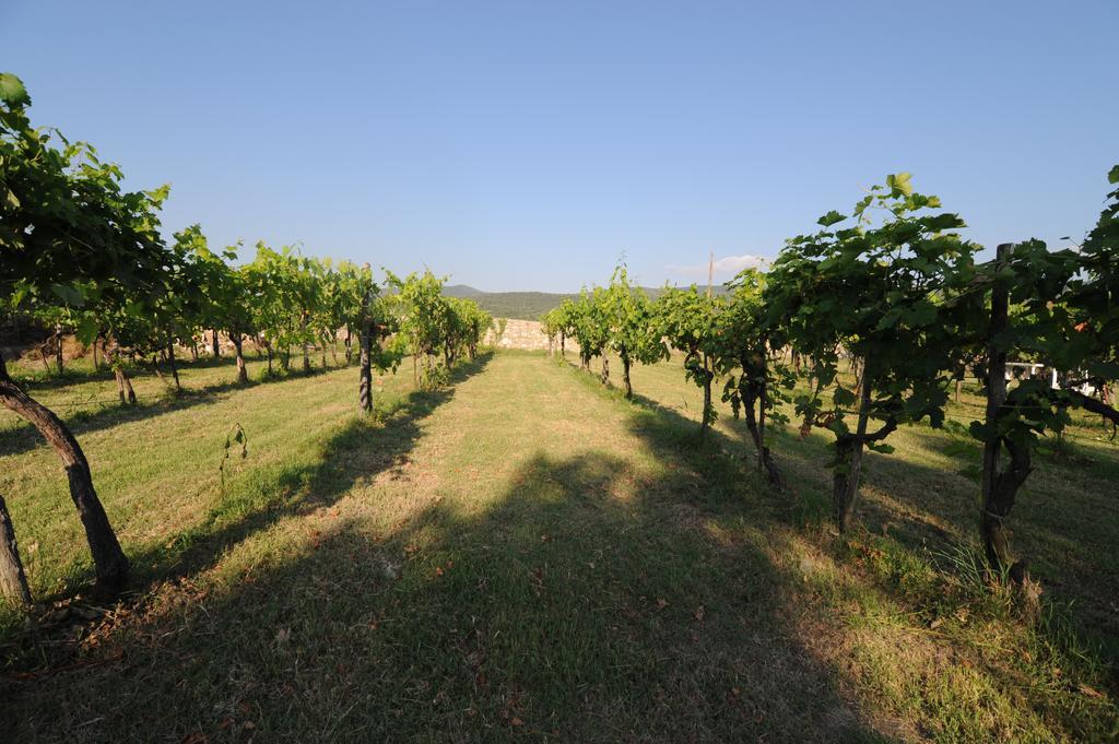 Agriturismo Scorgiano Bagian luar foto